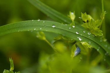 Similar image 545346