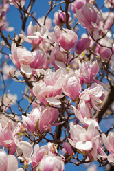 Similar image 545347