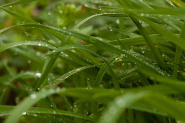 Similar image 545349