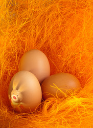 Similar image 545377