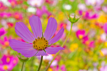 Similar image 545378