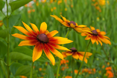 Similar image 545380