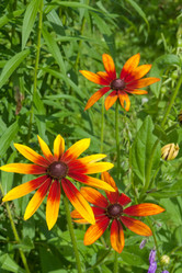 Similar image 545384