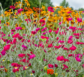 Similar image 545387