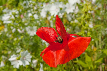 Similar image 545392