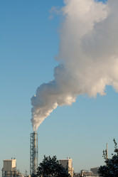 Similar image 545412