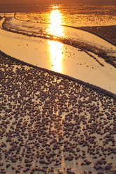 Similar image 545424