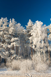 Similar image 545427