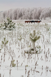 Similar image 545428