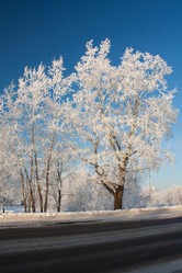 Similar image 545432