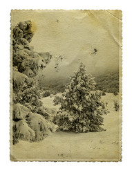 Similar image 545435