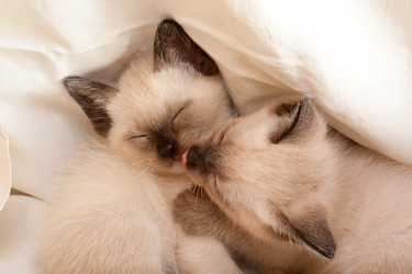 Similar image 545437