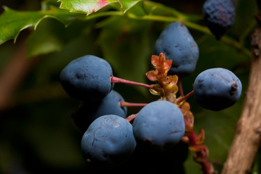 Similar image 545446