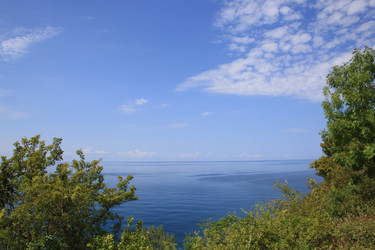 Similar image 545475