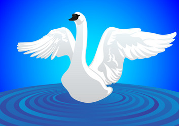 Similar image 545484