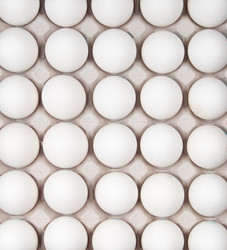 Similar image 545485