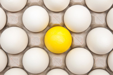 Similar image 545487