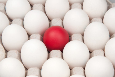 Similar image 545489