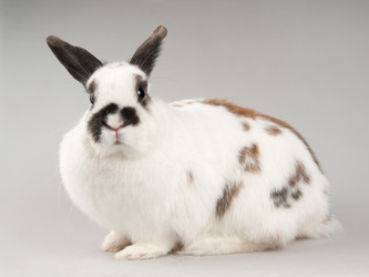 Similar image 545494