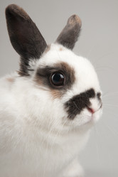 Similar image 545495