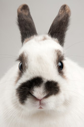 Similar image 545496