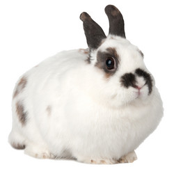 Similar image 545498