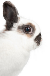 Similar image 545499