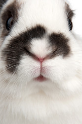 Similar image 545500