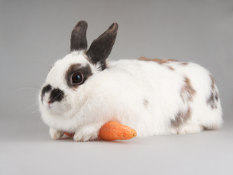 Similar image 545501