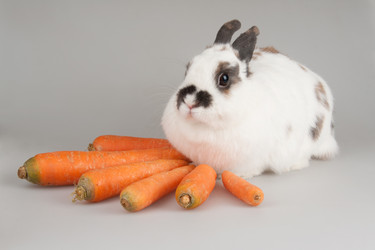 Similar image 545502