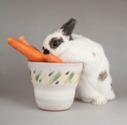 Similar image 545503