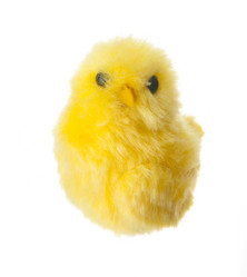 Similar image 545504