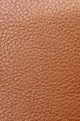 Similar image 545506