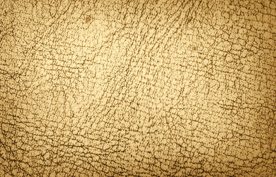 Similar image 545508