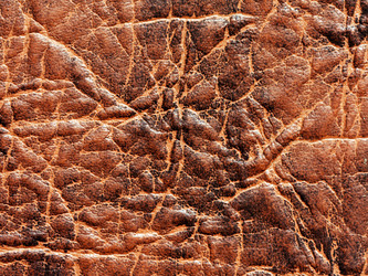 Similar image 545556