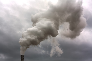 Similar image 545561