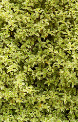 Similar image 545563