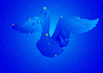 Similar image 545564