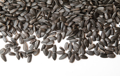 Similar image 545572