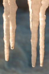 Similar image 545575