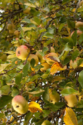 Similar image 545580