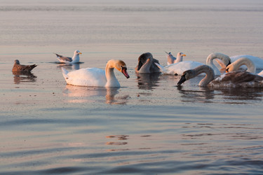 Similar image 545587