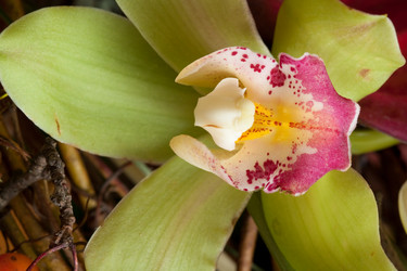 Similar image 545611