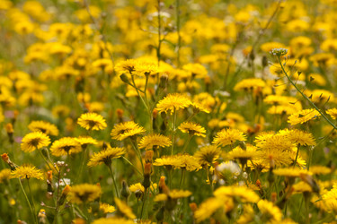 Similar image 545629