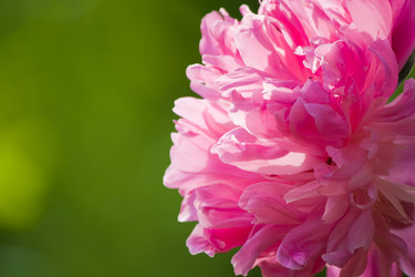 Similar image 545632