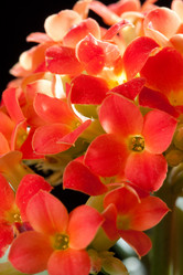 Similar image 545641