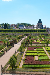 Similar image 545646