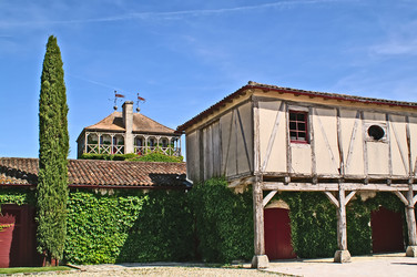 Similar image 545659