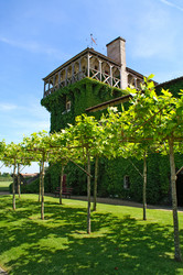 Similar image 545664