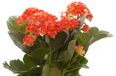 Similar image 545666